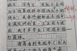 关于篮球训练经历的作文
